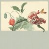 E13518194