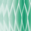 E13541701