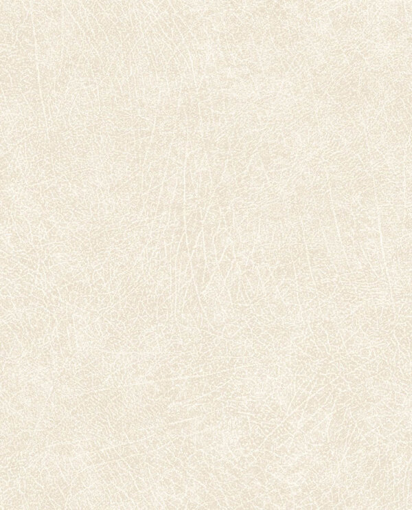 E13005101