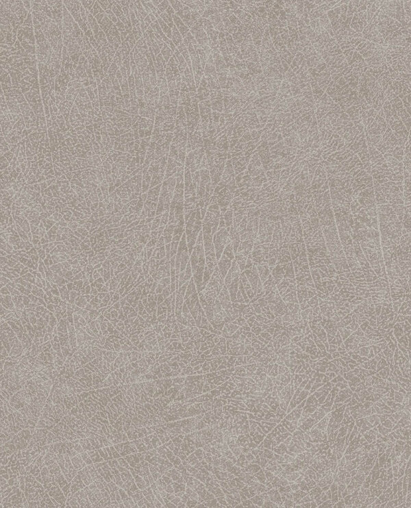 E13005122