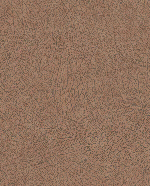 E13005133