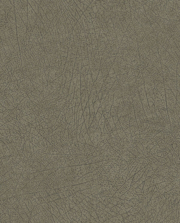 E13005144