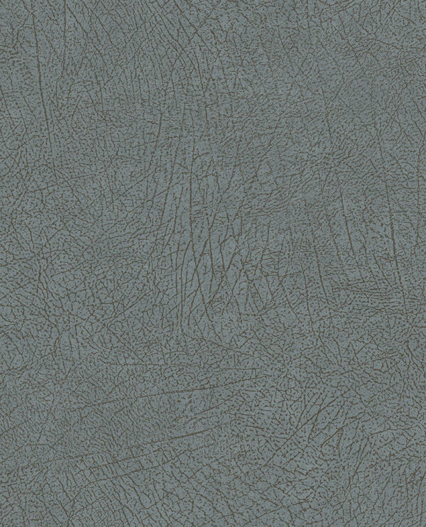 E13005155