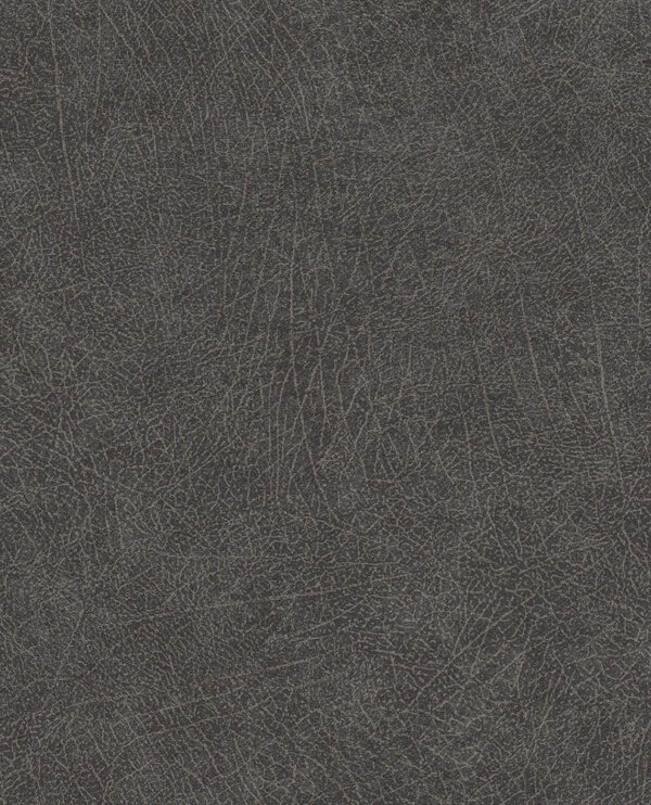 E13005166