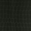 E13005613