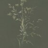 E13009056