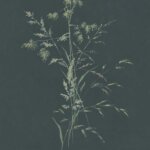 E13009067
