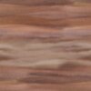 E13009089