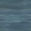 E13009091