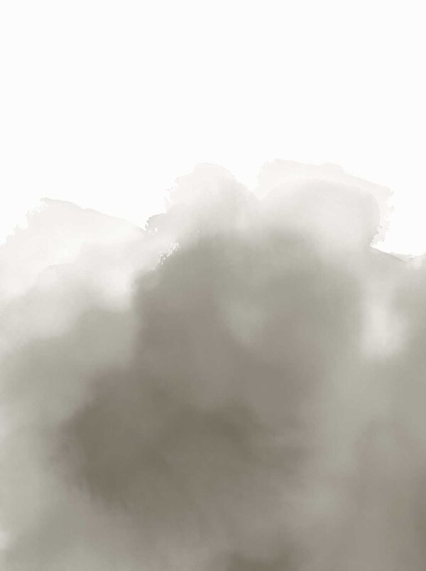 E13009199