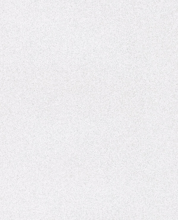 E13591007