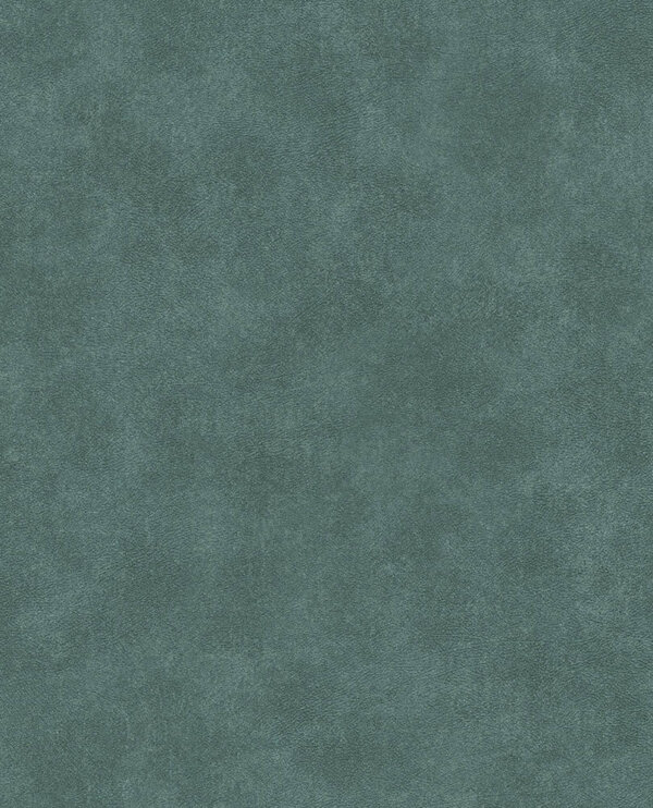 E13725178