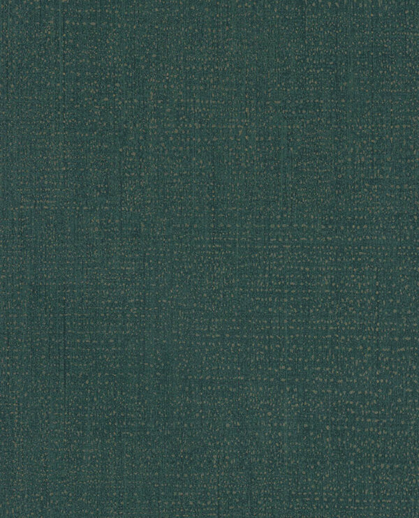 E13725636