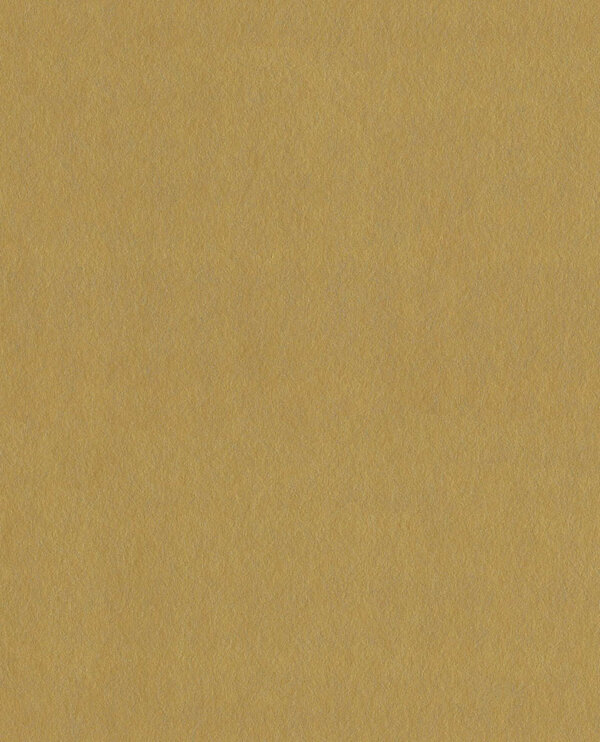 E13725769