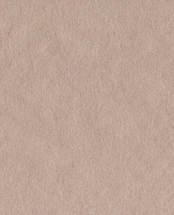 E13725771