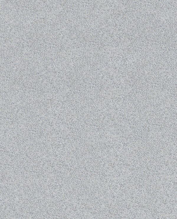 E13835804