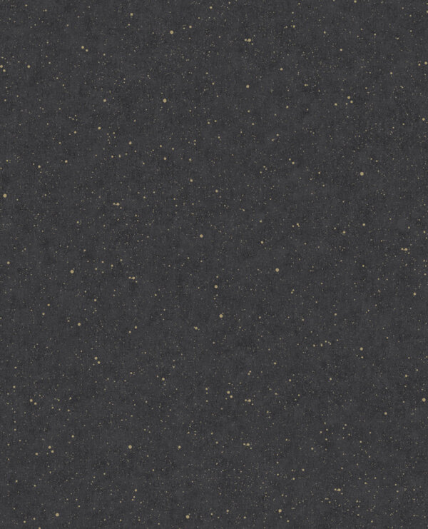 E13845251