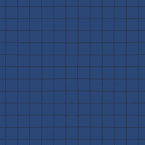 L1-H0617-8